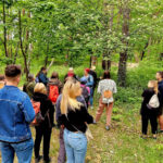 Spacery przyrodnicze w październiku