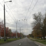 Wycinki pod nadzorem